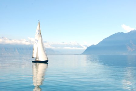 Sailboat In Bay