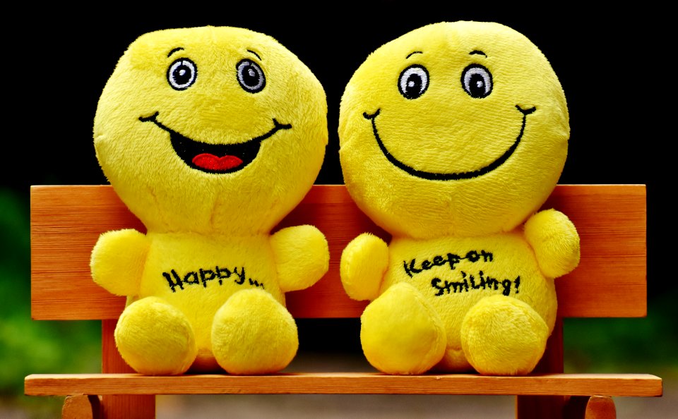 Two Yellow Plushtoy On Brown Bench