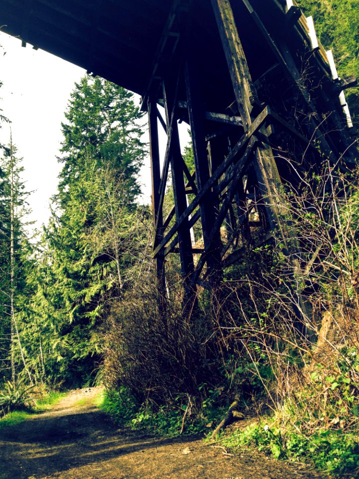 Under The Fairfax Bridge