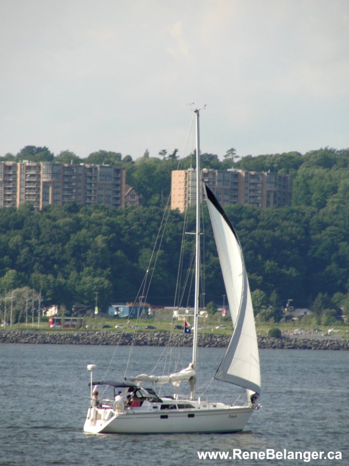 Sailboat On The St Lawrence River  Voilier Sur Le St-Laurent