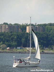 Sailboat On The St Lawrence River Voilier Sur Le St-Laurent photo