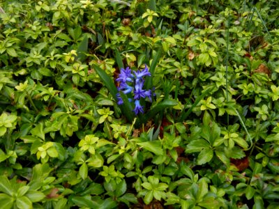 Be Different