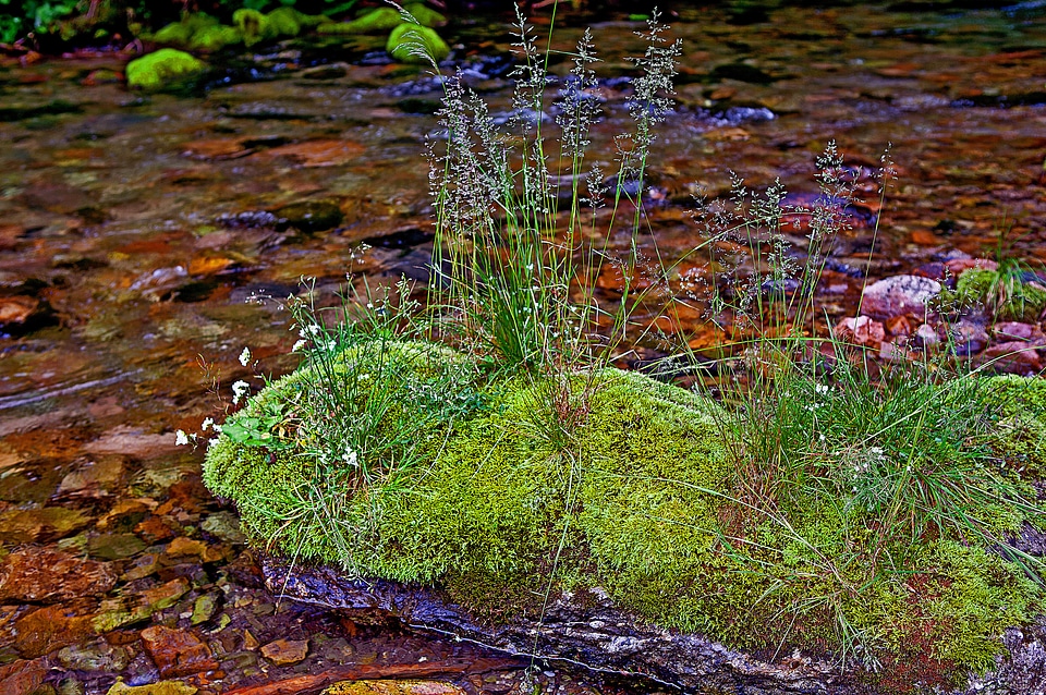 Western tatras river water