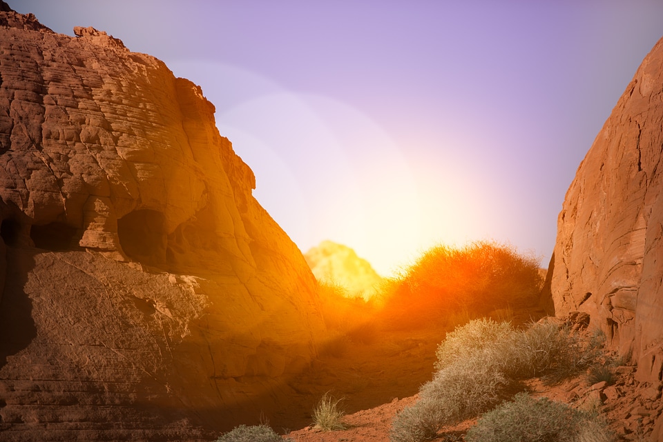 Sunlight backlight nature