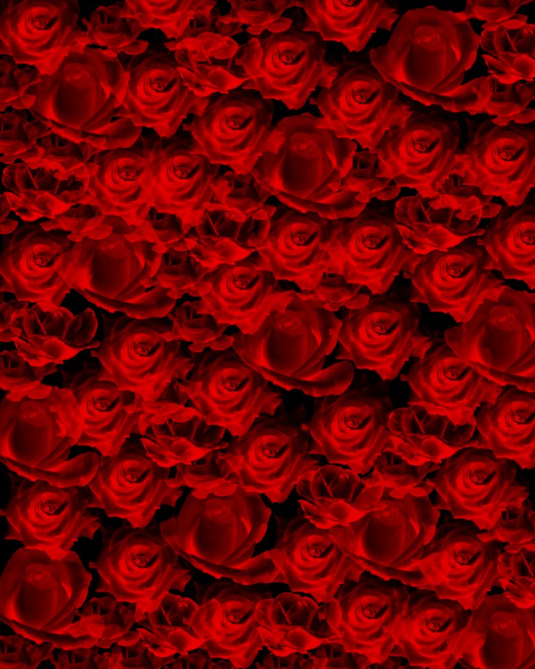 Rose Pattern