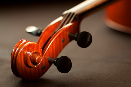 Close Up Of Violin