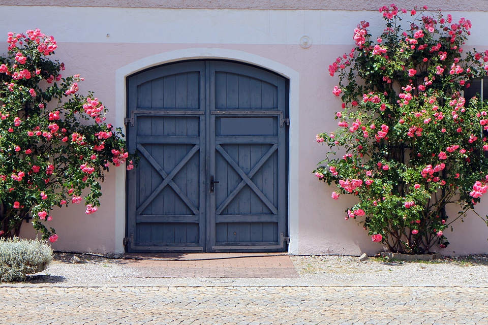 Door goal hinged door