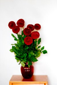 Red Flower Vase photo