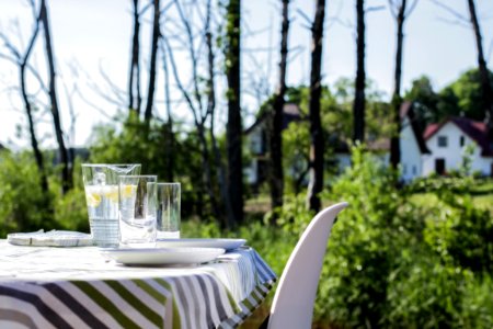 Table In Garden