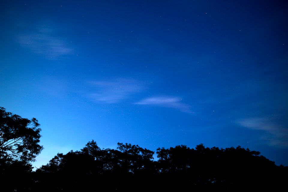 Starry Sky At Night Over Forest