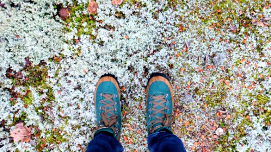 Man Wearing Teal And Brown Lace Up Sneakers