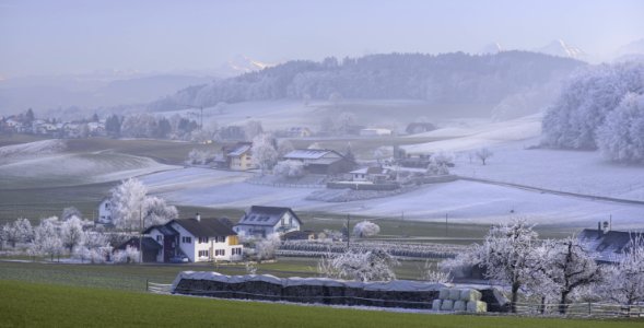 Winter Landscape