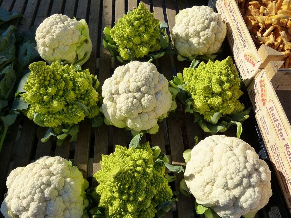 Food vegetables vitamins