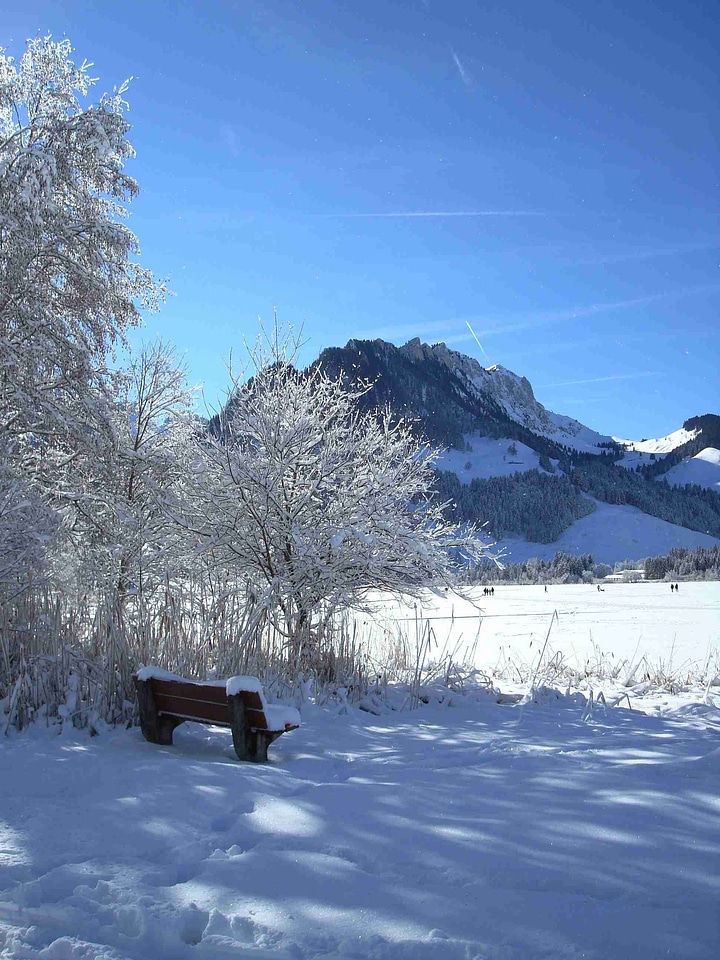 Nature snow winter