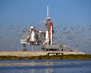 STS-27 Rollout photo