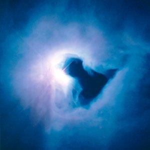 The Reflection Nebula In Orion