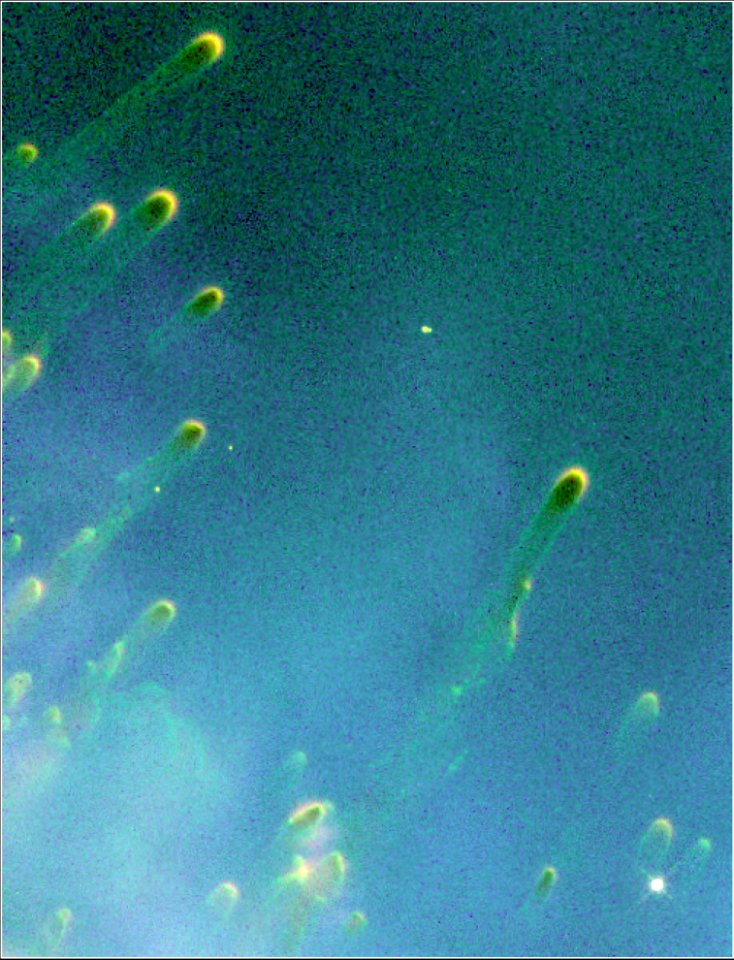 Cometary Knots Around A Dying Star