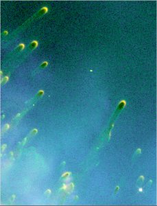Cometary Knots Around A Dying Star