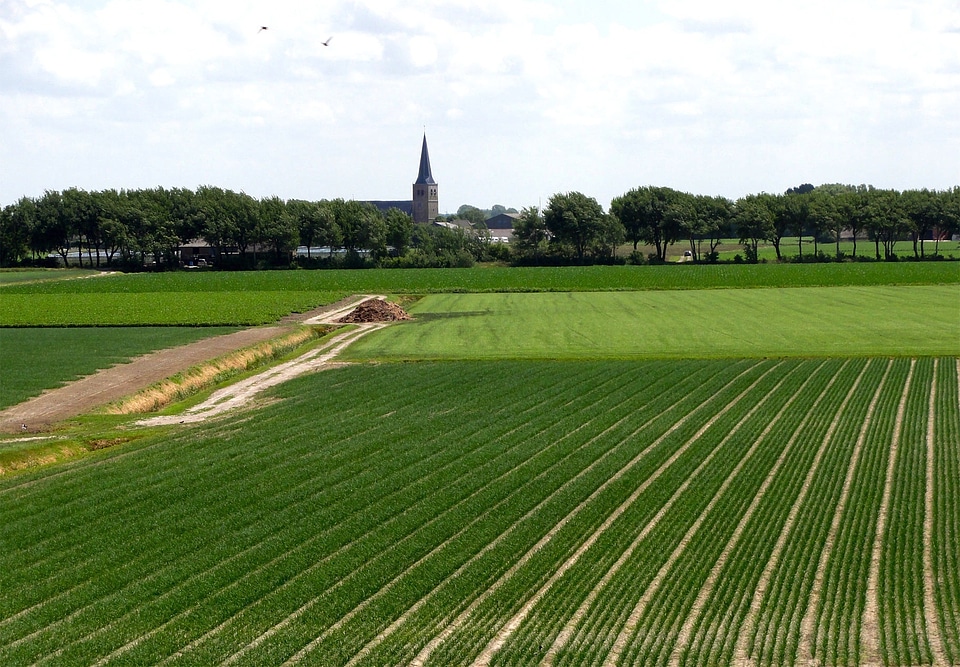 Crops farm rural
