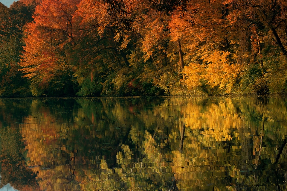 Sunset autumn water