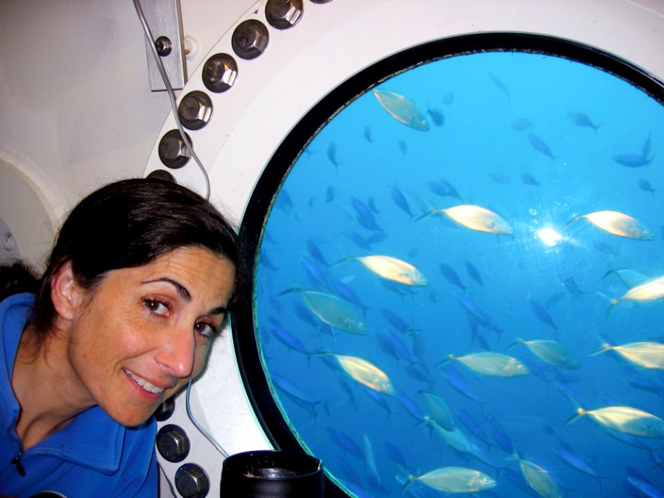 Astronaut Stott Trains In Aquarius