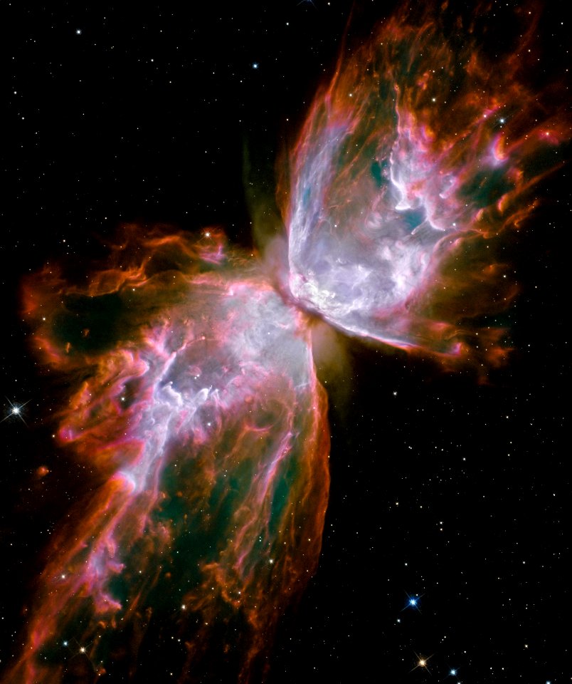 Hubble Spies A Butterfly