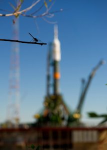 Expedition 32 Soyuz Rocket Rollout photo