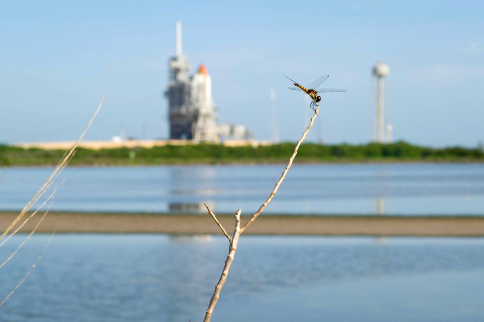 STS-135 Launch Countdown
