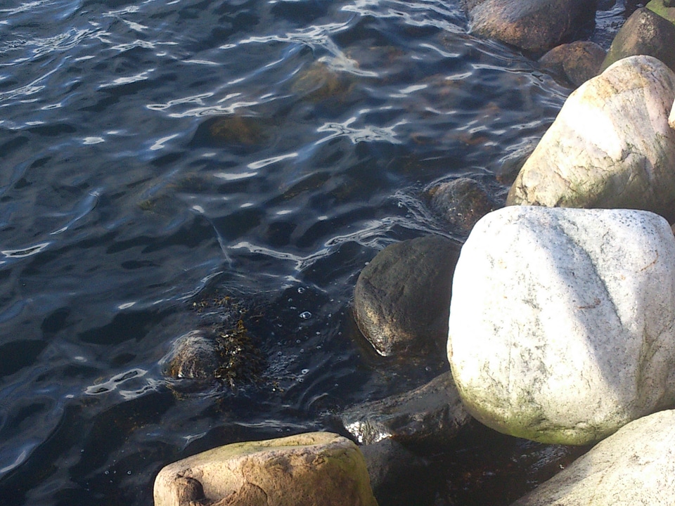 Natural relaxation zen