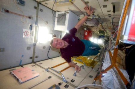 Oleg Novitskiy