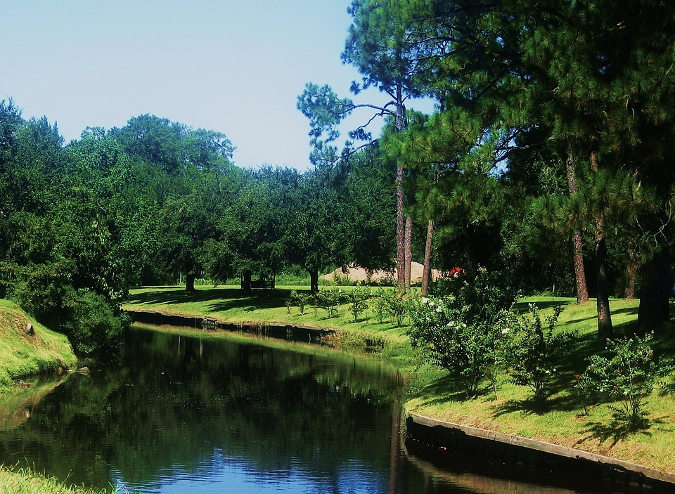 Pond water reflections photo