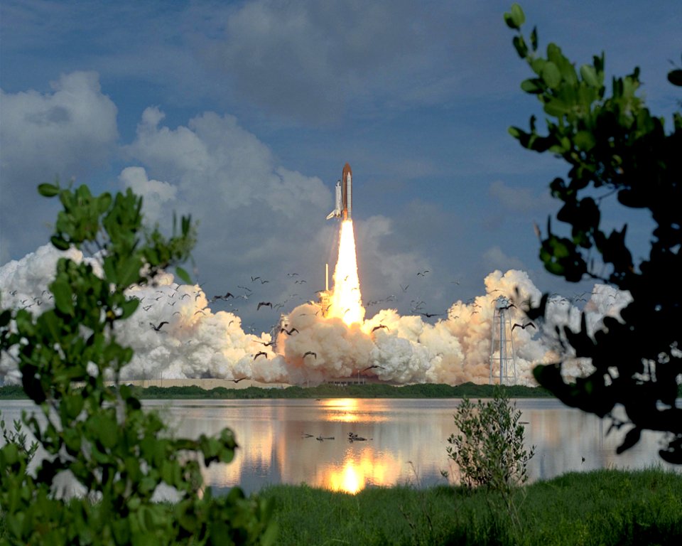 STS-70 Launch Startles Birds