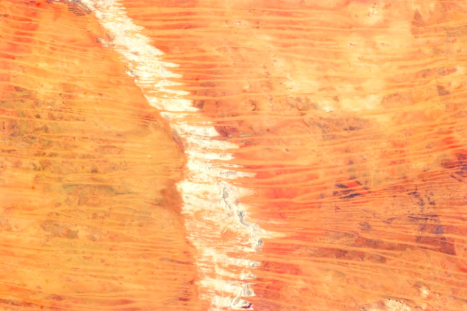 Great Sandy Desert Australia