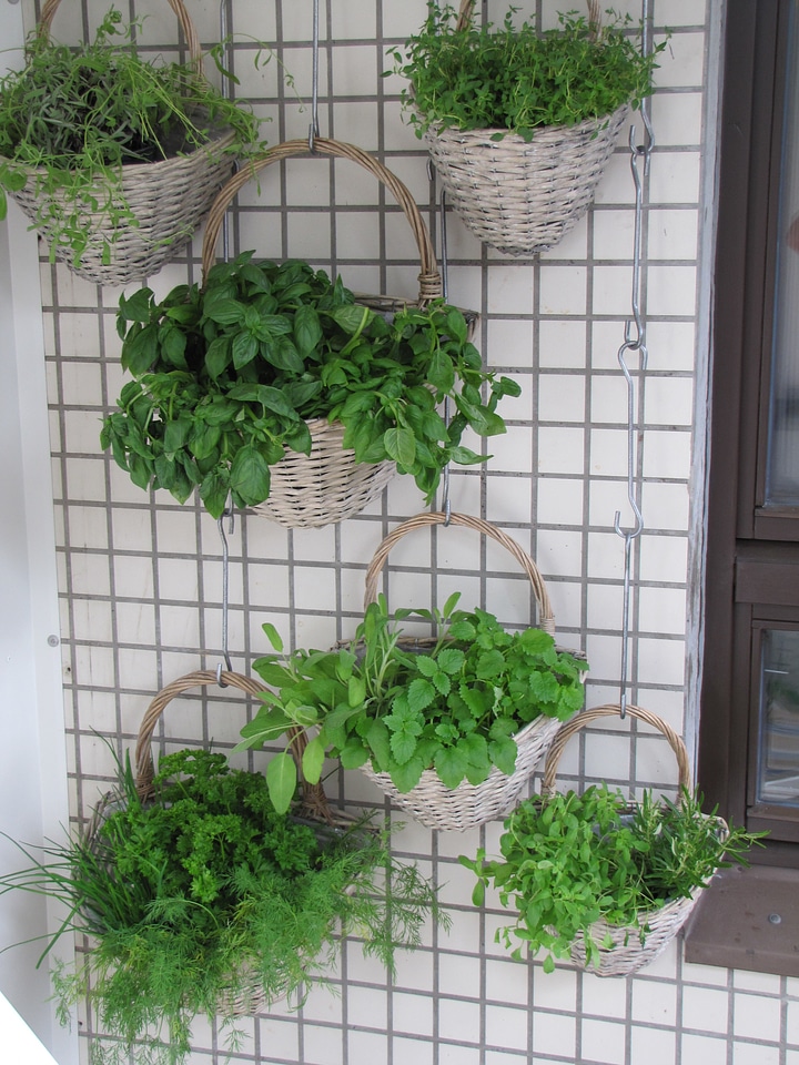 Vertical planting planting baskets wall garden