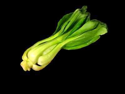 Bok Choy