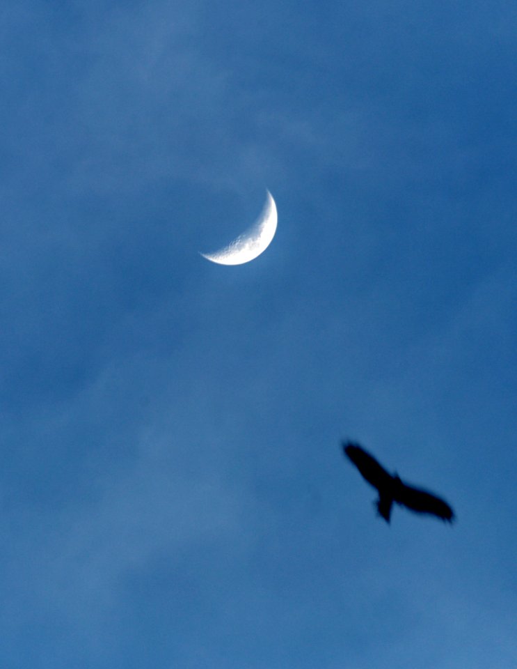 Aiming For The Moon