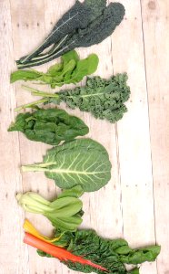 Leafy GreensLacinato KaleArugulaCurly KaleSpinachCollardsBok ChoyRainbow Chard
