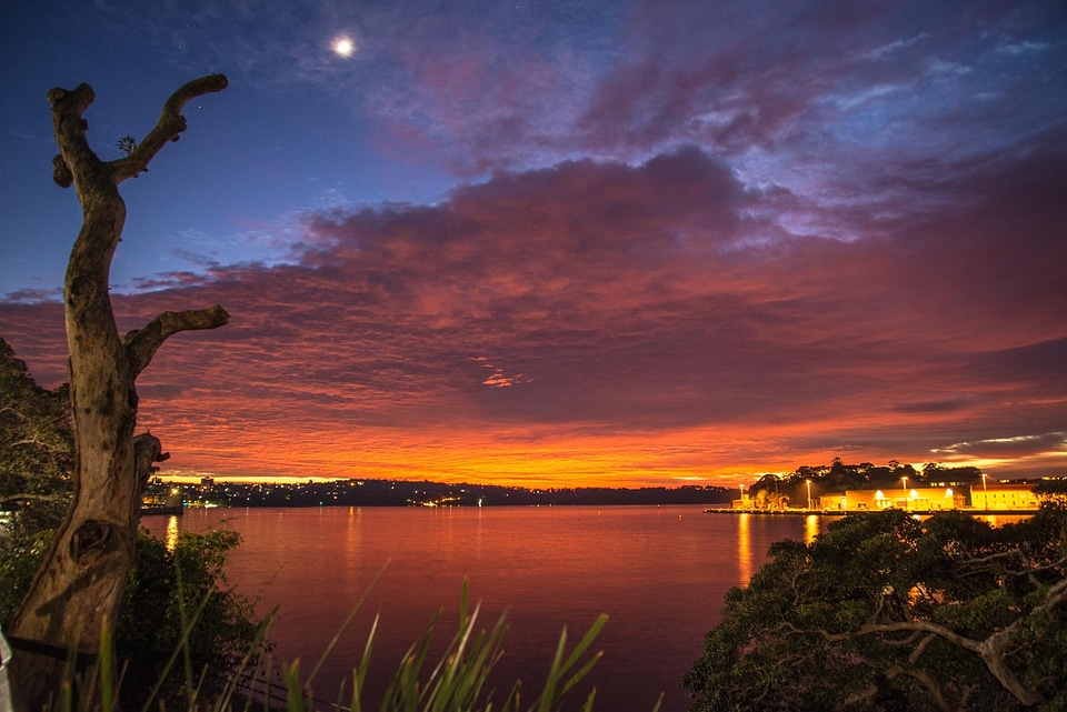 Harbour sydney sunrise