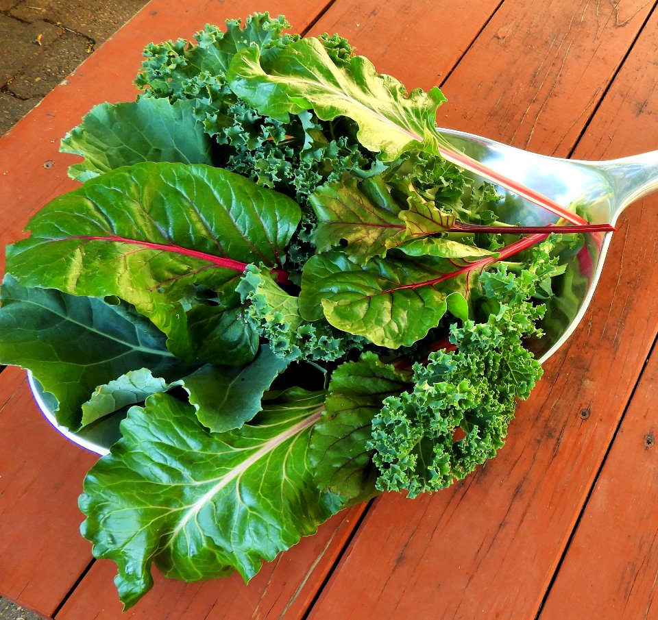 Serve Up Some Fresh Leafy Greens