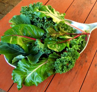 Serve Up Some Fresh Leafy Greens