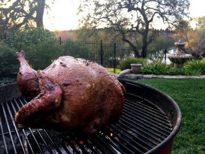 Grilling The Turkey