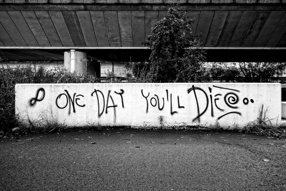 PUBDOMDED Pixa Digionbew 20 21222324-10 One Day Youll Die HIGH RES