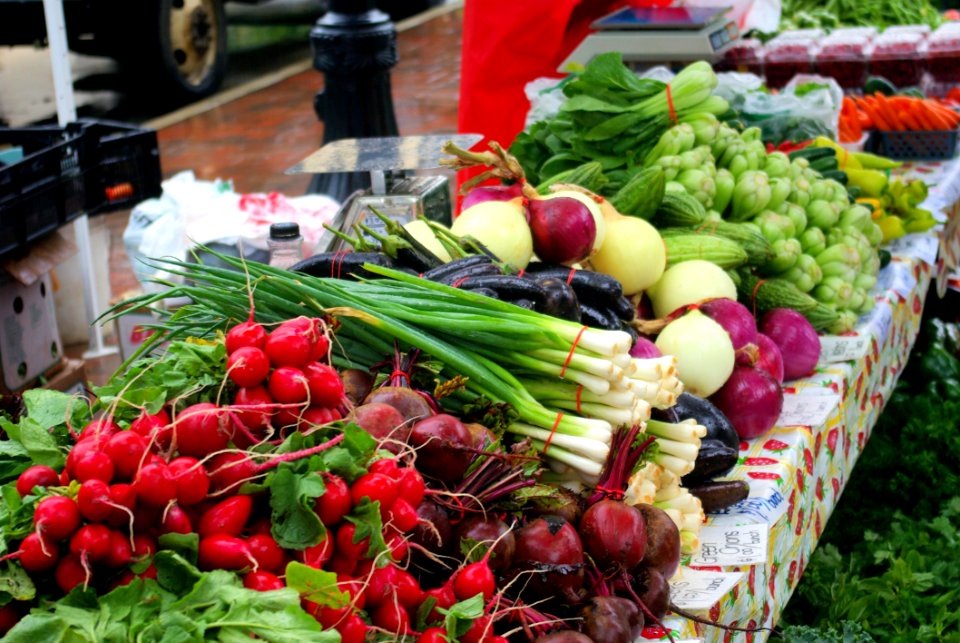 Farmers Market At The Wisconsin State Capitol Madison Wisconsin September 13 2008