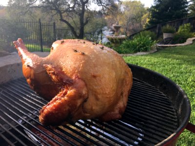 Grilled Turkey