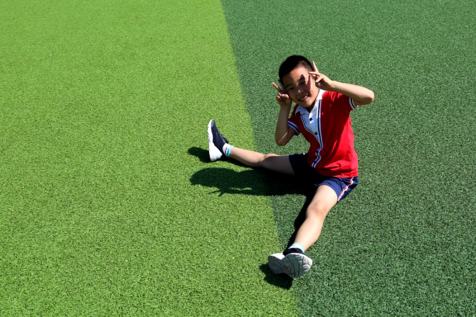 Player Green Sports Grass