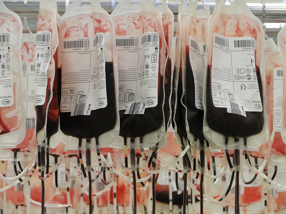 Red red blood cells blood donors