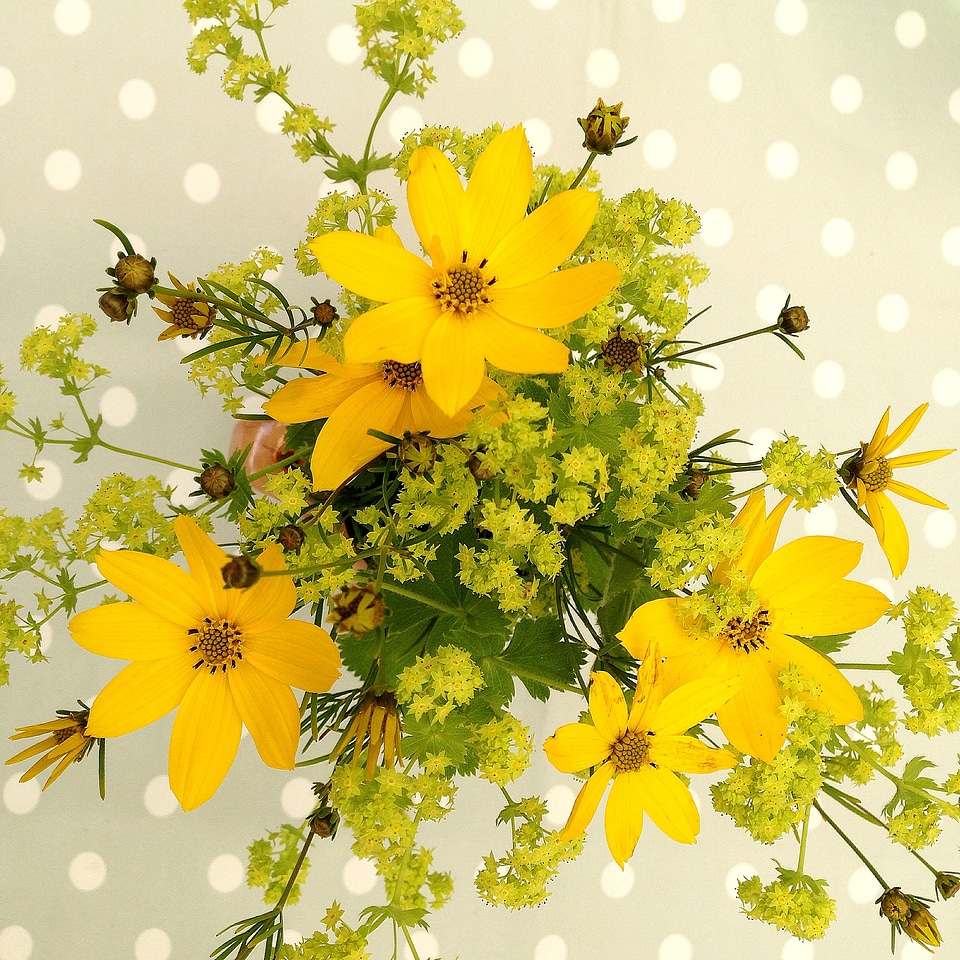 Bouquet yellow flowers