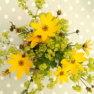 Bouquet yellow flowers