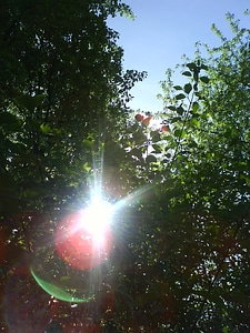 Sky mirroring reflection