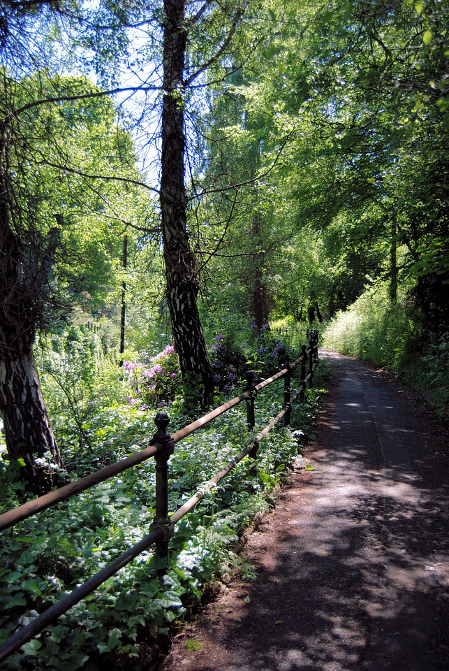 Landscape environment scenic